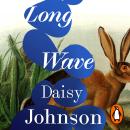 Long Wave: The extraordinary new novel from Booker Prize-shortlisted Daisy Johnson Audiobook