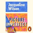 Picture Imperfect Audiobook