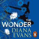 The Wonder Audiobook