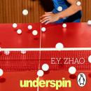 Underspin Audiobook