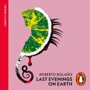 Last Evenings On Earth Audiobook