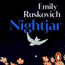 Nightjar: A stunning collection of stories from the prizewinning author, about the power of unexpected intuitions in ordinary lives Audiobook