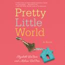 Pretty Little World Audiobook