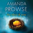 The Idea of You Audiobook