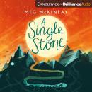 A Single Stone Audiobook