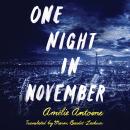 One Night in November Audiobook
