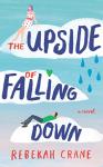 The Upside of Falling Down Audiobook