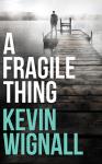 A Fragile Thing Audiobook