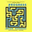 Progress: Ten Reasons to Look Forward to the Future Audiobook