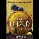 The Iliad Audiobook