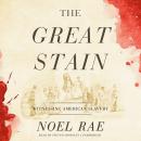 Great Stain: Witnessing American Slavery, Noel Rae
