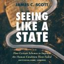 Seeing Like a State: How Certain Schemes to Improve the Human Condition Have Failed Audiobook