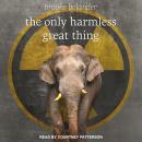 The Only Harmless Great Thing Audiobook