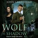 Wolf in Shadow Audiobook