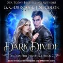 Dark Divide Audiobook