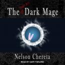 The (sort of) Dark Mage Audiobook