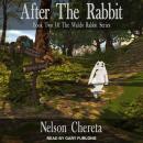 After The Rabbit Audiobook