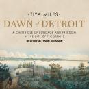 Dawn of Detroit: A Chronicle of Bondage and Freedom in the City of the Straits Audiobook