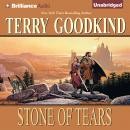 Stone of Tears Audiobook