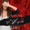 Thief Audiobook
