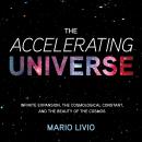 Accelerating Universe, Mario Livio
