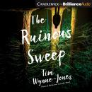 The Ruinous Sweep Audiobook