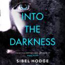 Into the Darkness Audiobook