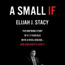 A Small If: The Inspiring Story of a 17-Year-Old with a Fatal Disease—and a Mission to Cure It Audiobook