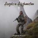 Angels in Afghanistan Audiobook