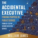 The Accidental Executive: Finding Purpose in Public Service: From GS-1 to the Senior Executive Servi Audiobook