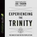 Experiencing the Trinity: The Grace of God for the People of God Audiobook