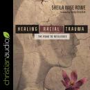 Healing Racial Trauma: The Road To Resilience Audiobook