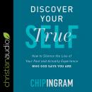 Discover Your True Self: How to Silence the Lies of Your Past and Actually Experience Who God Says Y Audiobook