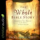 The Whole Bible Story: Everything That Happens In The Bible In Plain English