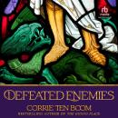 Defeated Enemies Audiobook