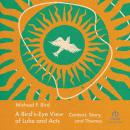 A Bird's-Eye View of Luke and Acts: Context, Story, and Themes Audiobook