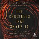 The Crucibles That Shape Us: Navigating the Defining Challenges of Leadership Audiobook
