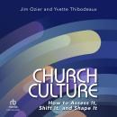 Church Culture: How to Assess It, Shift It, and Shape It Audiobook
