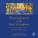 Providence in the Story of Scripture: The Work of God through Creation, Fall, Redemption, and New Cr Audiobook