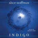 Indigo Audiobook