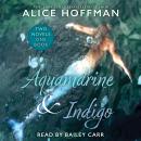 Aquamarine & Indigo (Two Novels, One Book) Audiobook