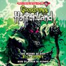 The Wizard of Ooze (Goosebumps HorrorLand #17) Audiobook