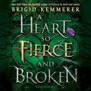 A Heart So Fierce and Broken Audiobook
