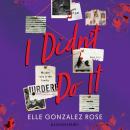 I Didn't Do It Audiobook