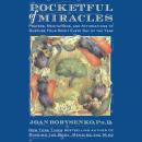 Pocketful of Miracles: Prayer, Meditations, and Affirmations to Nurture Your Spirit Every Day of the Audiobook