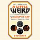 They Just Seem a Little Weird: How KISS, Cheap Trick, Aerosmith, and Starz Remade Rock and Roll Audiobook
