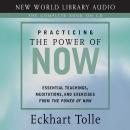 Practicing the Power of Now: Essential Teachings, Meditations, and Exercises From The Power of Now