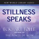 Stillness Speaks: Stillness amidst the World