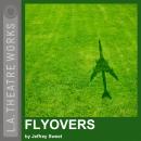Flyovers Audiobook
