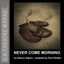 Never Come Morning Audiobook